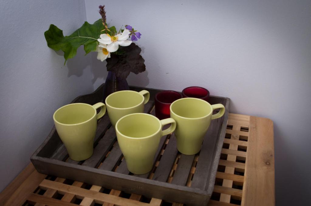 De Violier Bed & Breakfast Eext Phòng bức ảnh